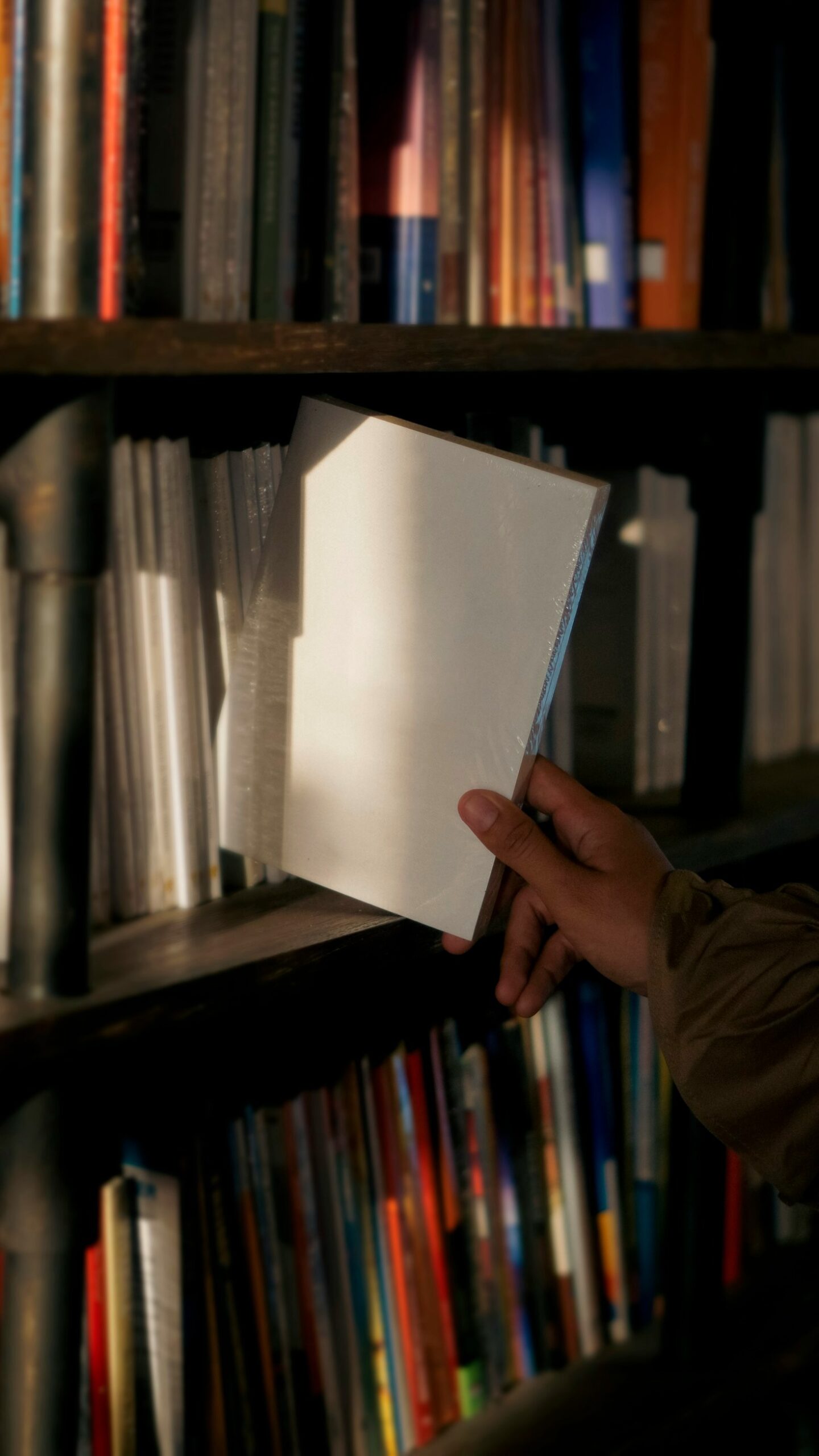 Os benefícios do Estudo do Meio para os estudantes